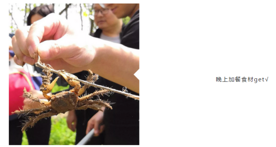 cq9电子官网集团业务事业群Q1季度绩优游——为梦想释放狂野391.png